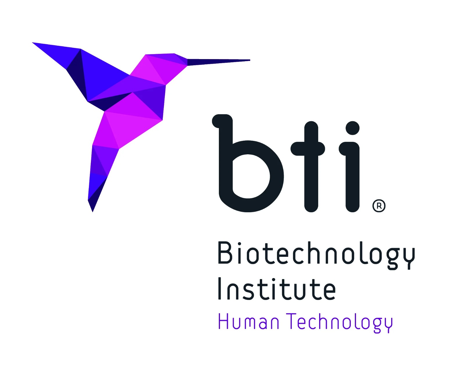 Dental Implant Brand